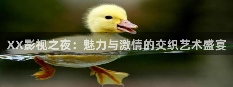 麦田影院能看哪些热播剧：XX影视之夜：魅力与激情的交织艺术盛宴