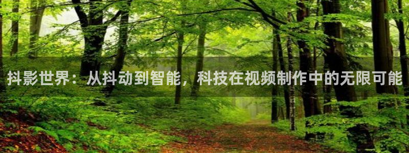 石家庄麦田汽车电影院：抖影世界：从抖动到智能，科技在视频制作中的无限可能