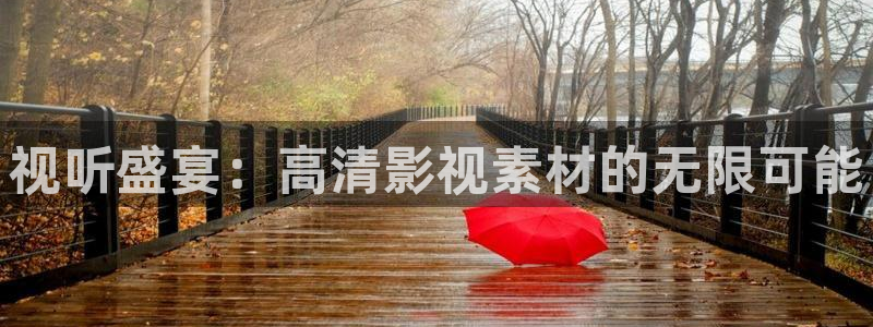 麦田影视免费高清观看电视剧：视听盛宴：高清影视素材的无限可能