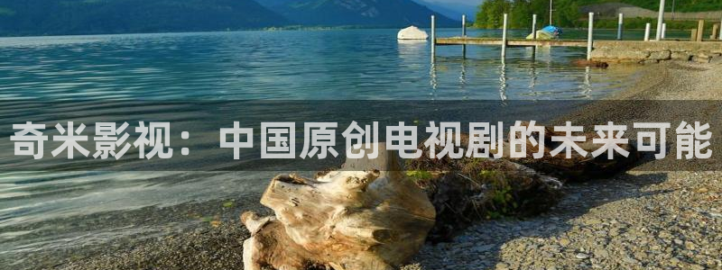 麦田照片：奇米影视：中国原创电视剧的未来可能