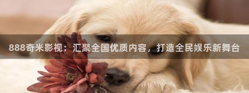 麦田汽车电影院：888奇米影视：汇聚全国优质内容，打造全民娱乐新舞台