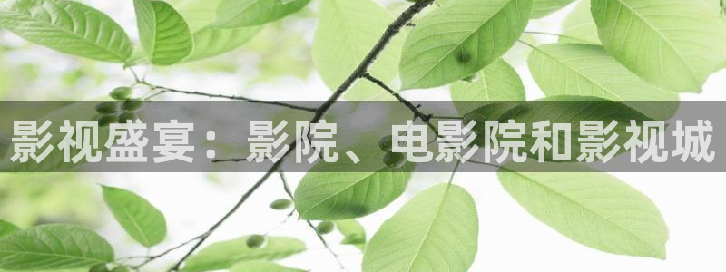 库尔勒麦田影城今日放映表：影视盛宴：影院、电影院和影视城