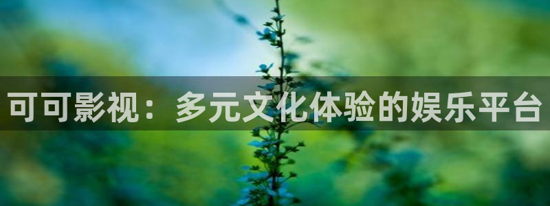 麦田电影院今日影讯：可可影视：多元文化体验的娱乐平台