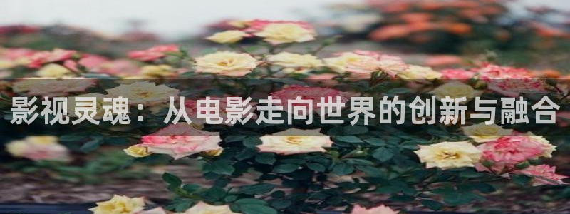 麦田电影高清在线观看：影视灵魂：从电影走向世界的创新与融合