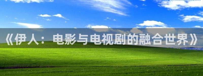 麦田影视影楼：《伊人：电影与电视剧的融合世界》