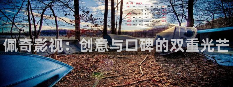 麦田影像：佩奇影视：创意与口碑的双重光芒