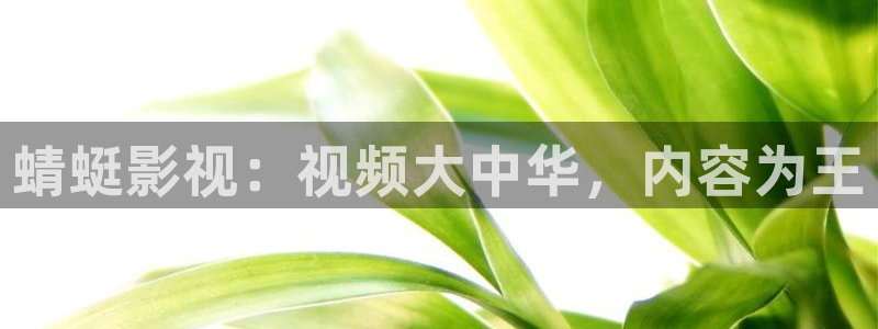 麦田影像：蜻蜓影视：视频大中华，内容为王
