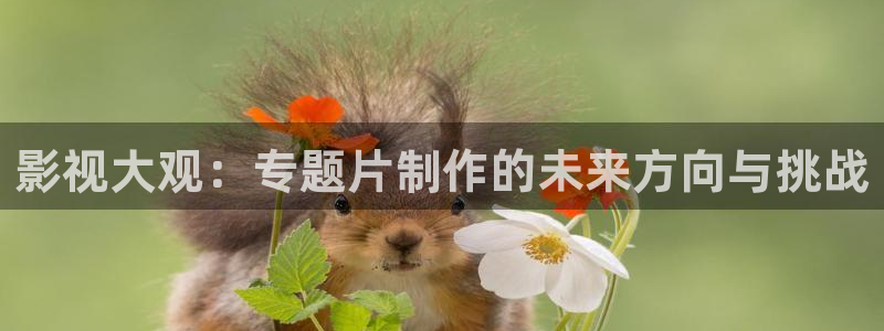 北京麦田：影视大观：专题片制作的未来方向与挑战